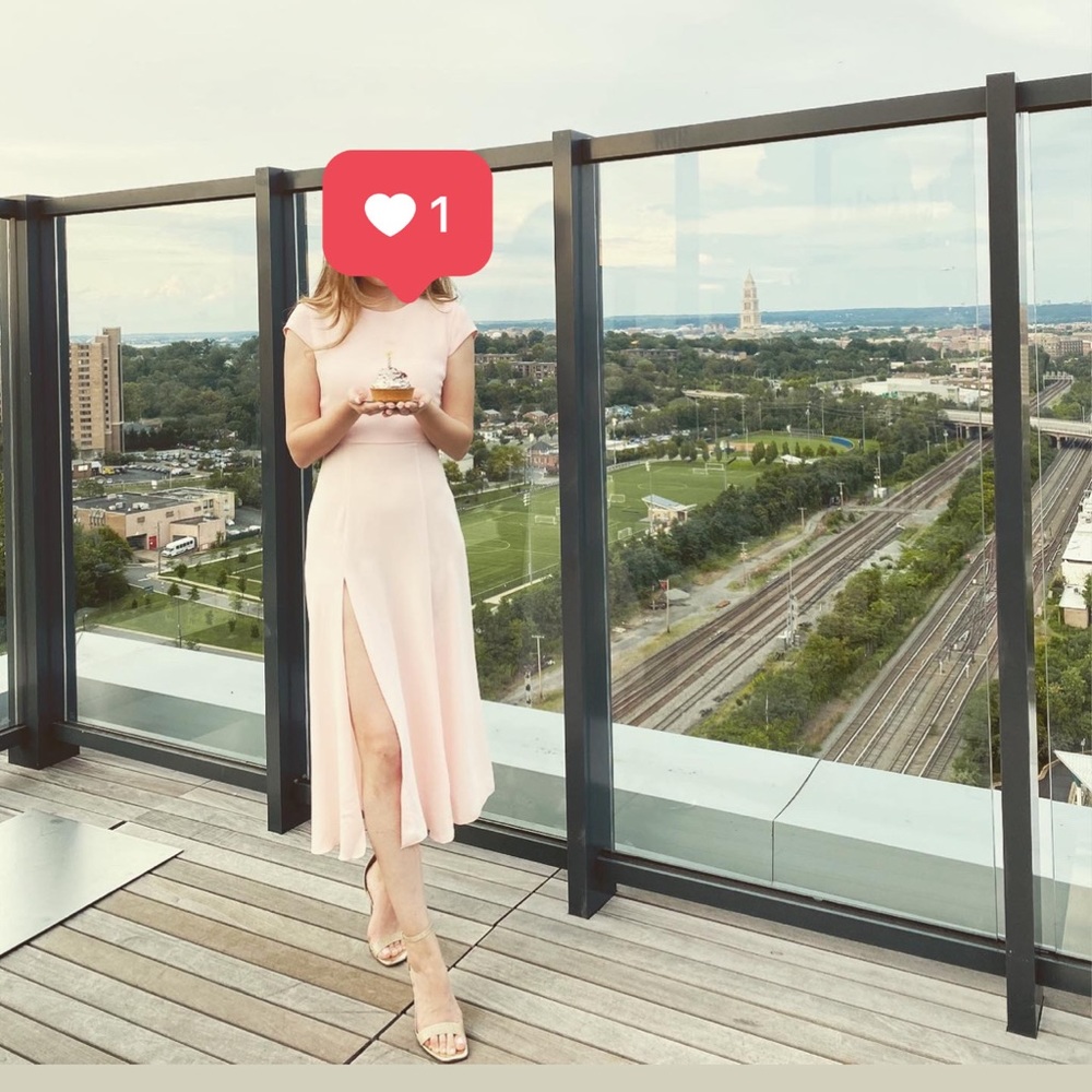 Aritzia Babaton Dress wore for birthday once